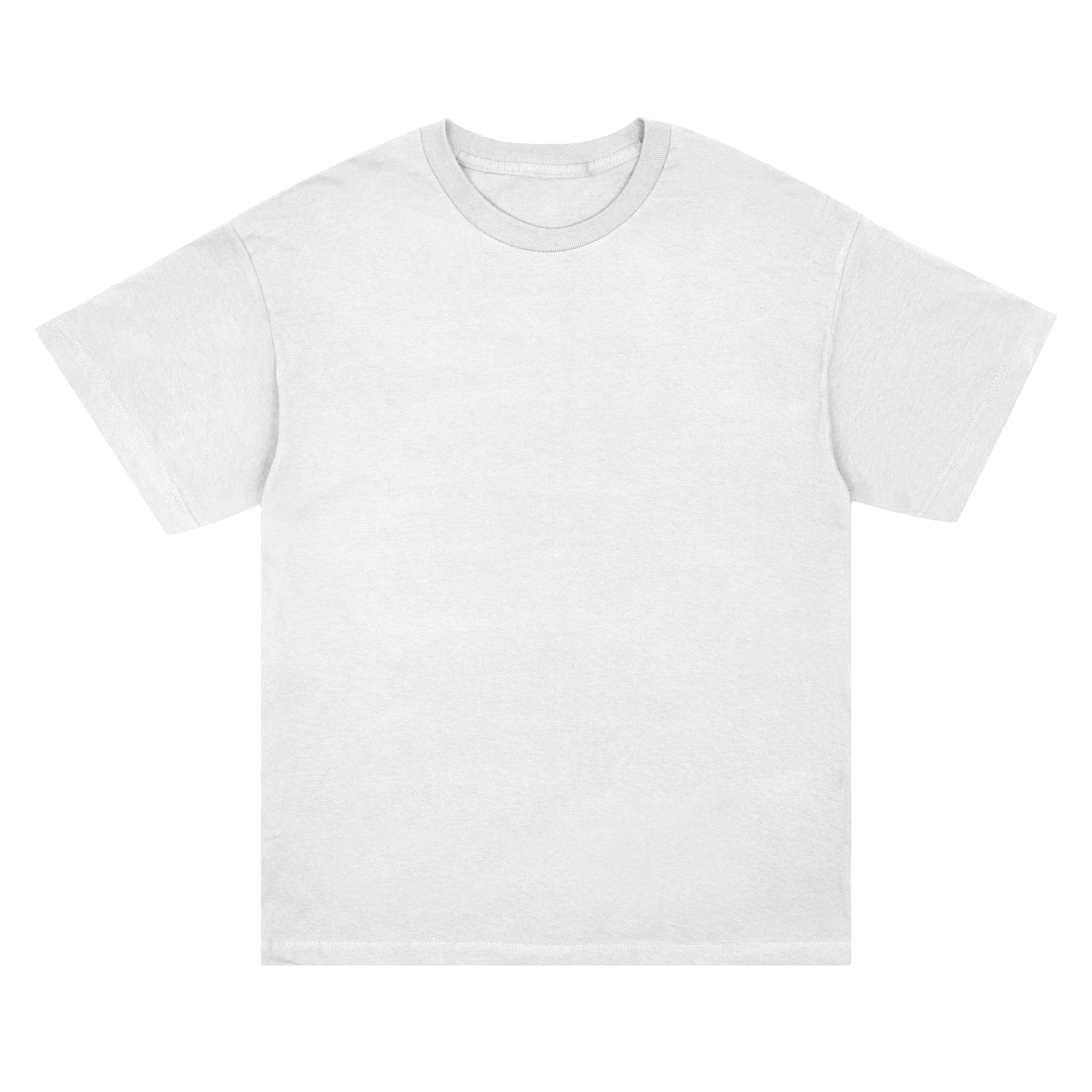 ALSTYLE 1301 TEE (BLANK SHIRTS ONLY)