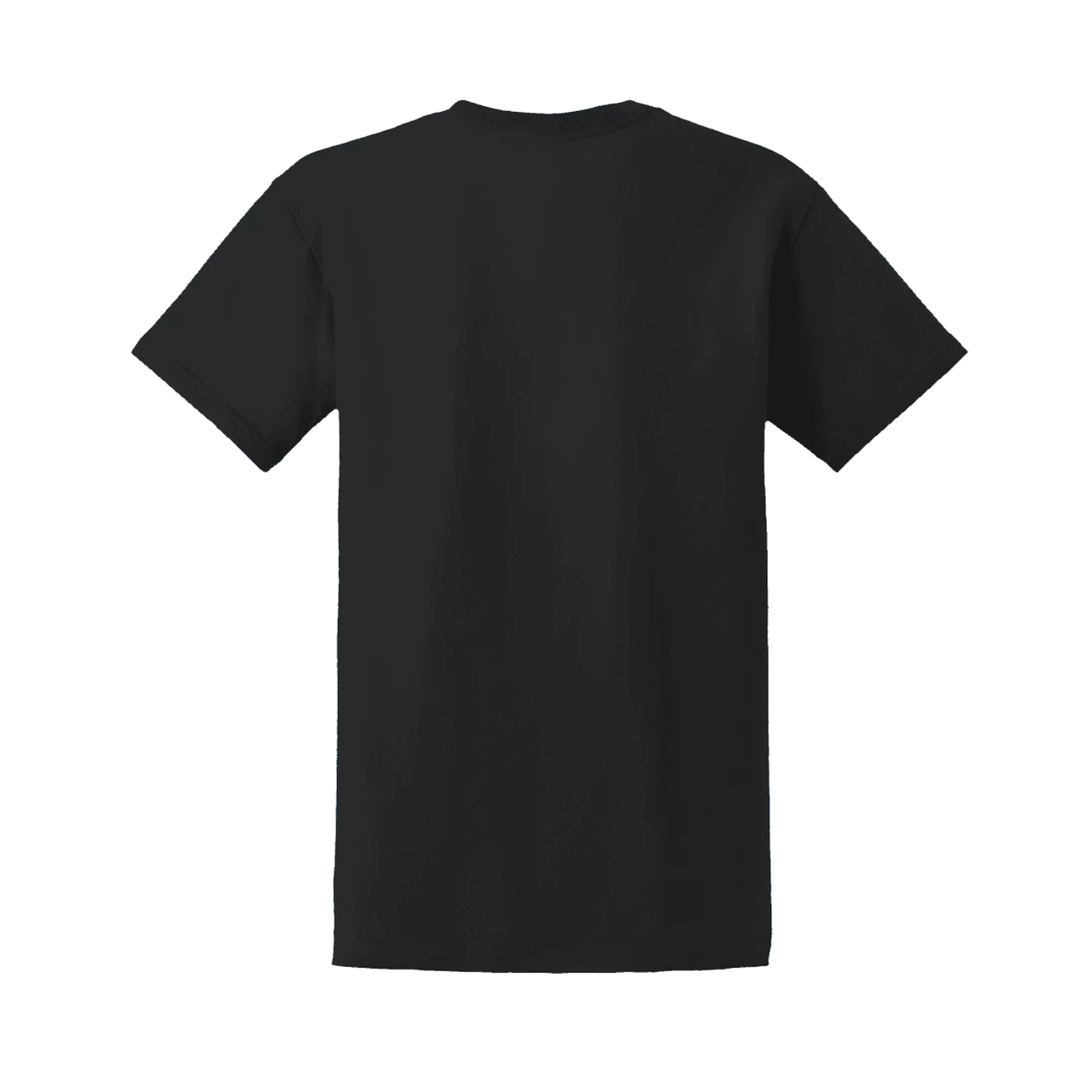 GILDAN ULTRA COTTON T-SHIRT (BLANK SHIRTS ONLY)